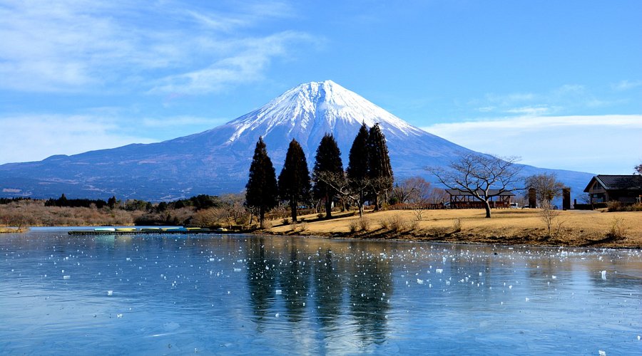 Fujisan Wild Adventure - Khu camping và hoạt động ngoài trời gần núi Phú Sĩ