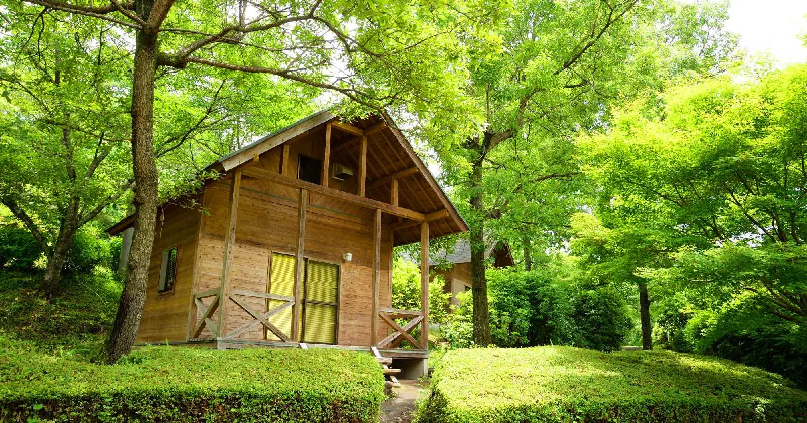 Hạt Nho — bungalow, không lo mưa, đưa đón