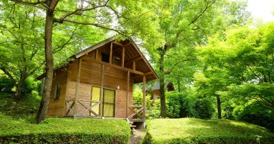 Hạt Nho — bungalow, không lo mưa, đưa đón